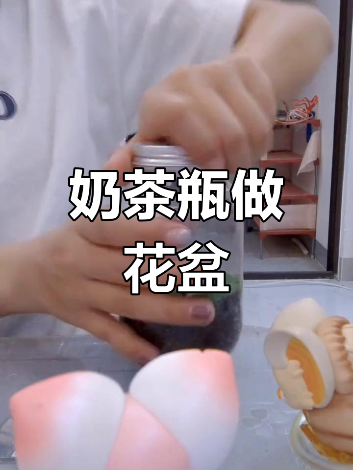 废物利用:奶茶瓶变微景观