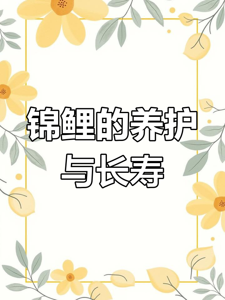 锦鲤:冷水鱼,寿命长可达70年