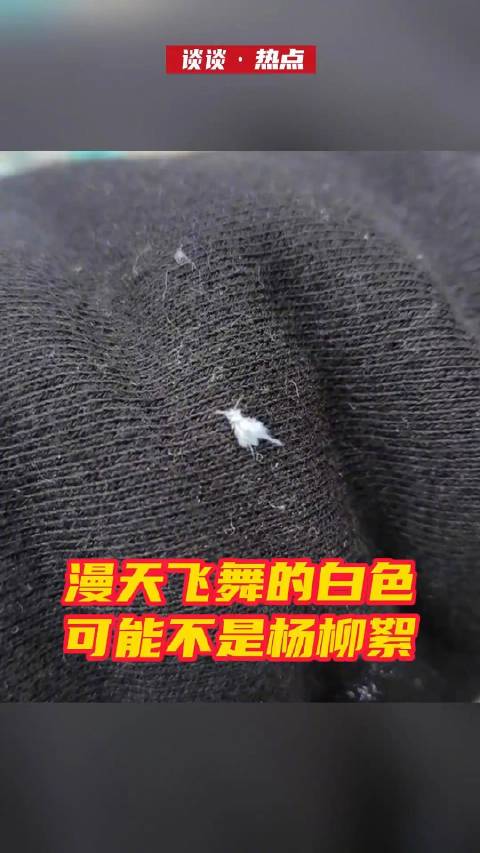 「细思极恐!你以为飘的柳絮可能是虫子」请小伙伴们注意:近期虽然是杨柳絮纷飞的季节,但同时也