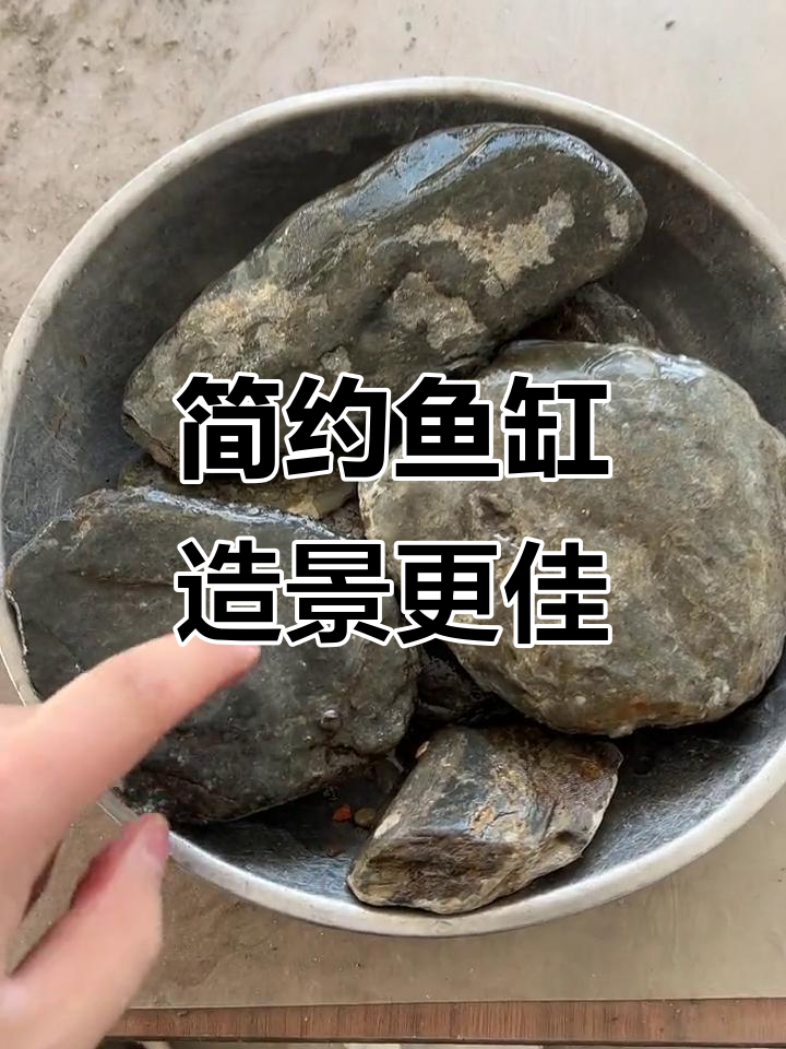 鱼缸造景越简单越好,避免过度装饰