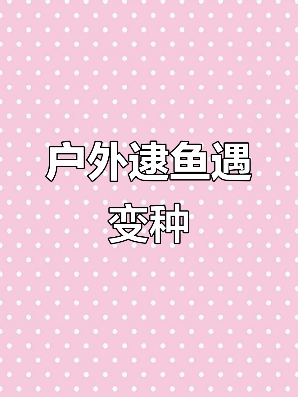 乡村抓鱼大冒险:意外发现金龟和变异鲫鱼