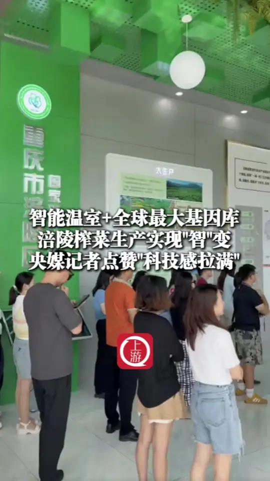 8月14日，采访团走进重庆市渝东南农业科学院，实地考察了青菜头育种智能化种植技术及农业科研