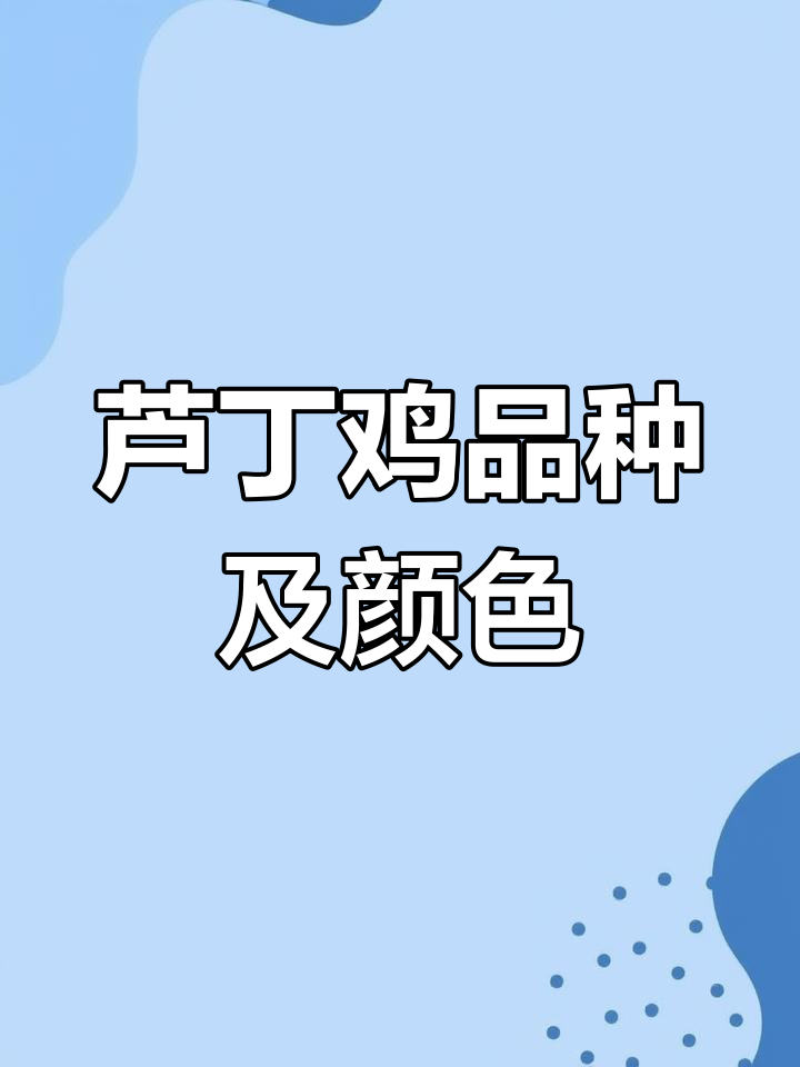 芦丁鸡品种与颜色全解析:国产三色、变异品种大揭秘