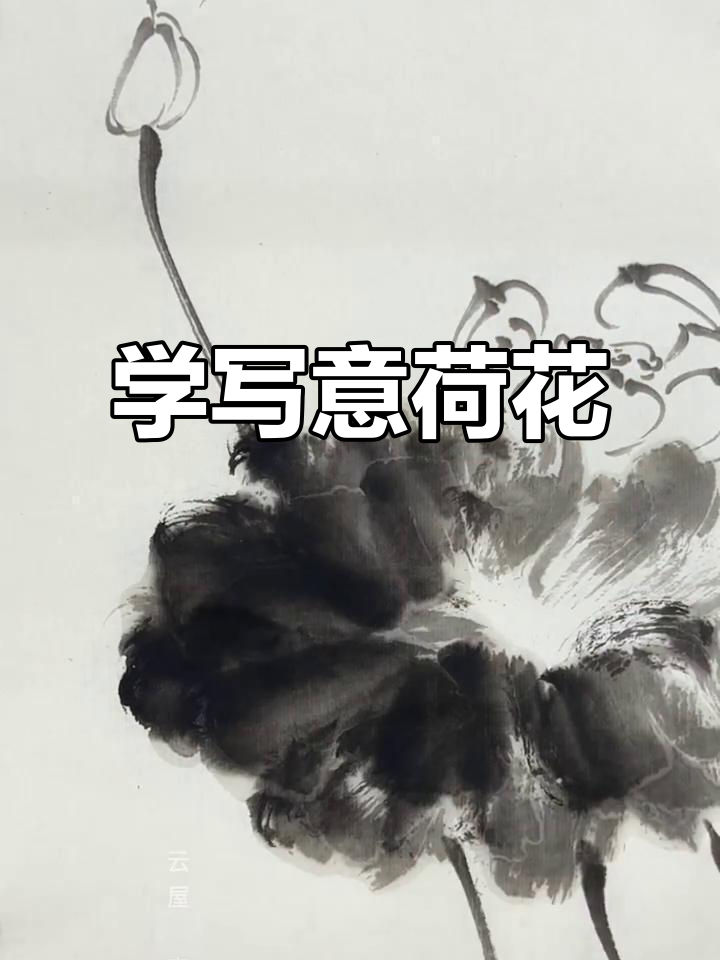 轻松学写意荷花,水墨画技巧大揭秘