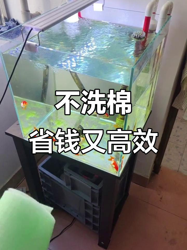 2023年鱼马桶真的能省心?过滤棉清洗成本揭秘