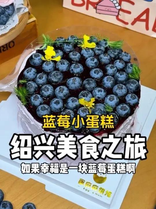 如果幸福是一块蓝莓蛋糕!还是瓶盖大小的蓝莓!瓶盖大小的蓝莓被我吃到了神鲜风味开吃啦出道吧宝