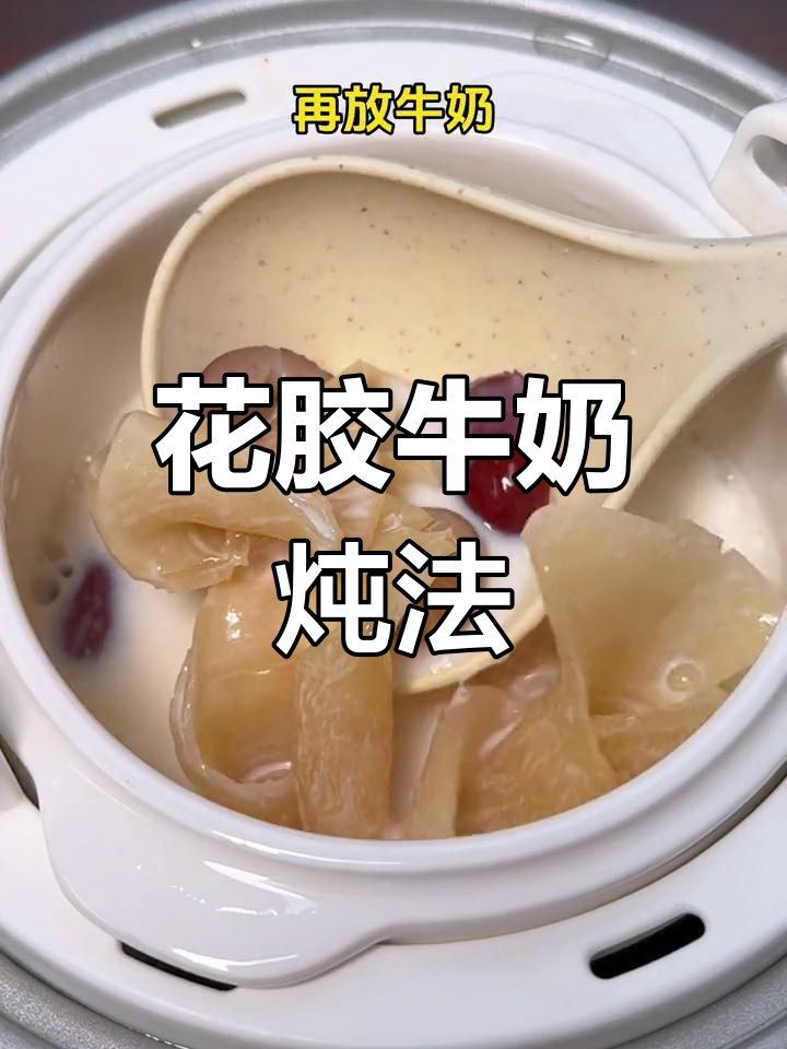 鱼胶炖奶的正确做法,营养又美味