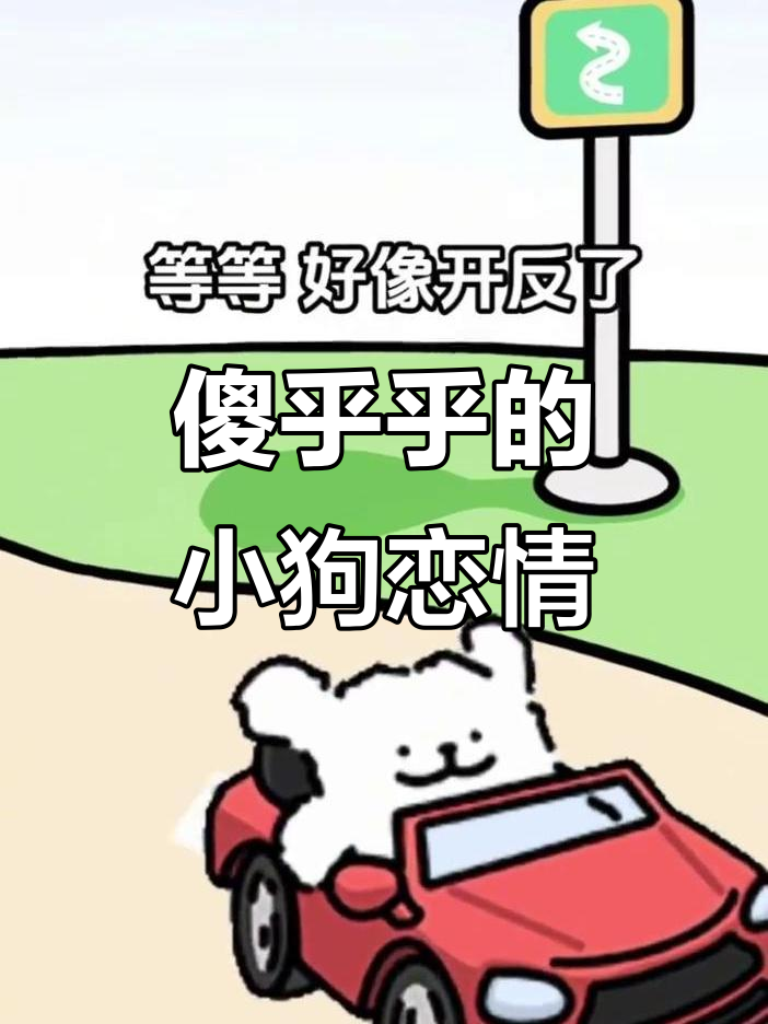 小白马尔济斯与笨笨情侣的恋爱日常,大学生活中的甜蜜时光