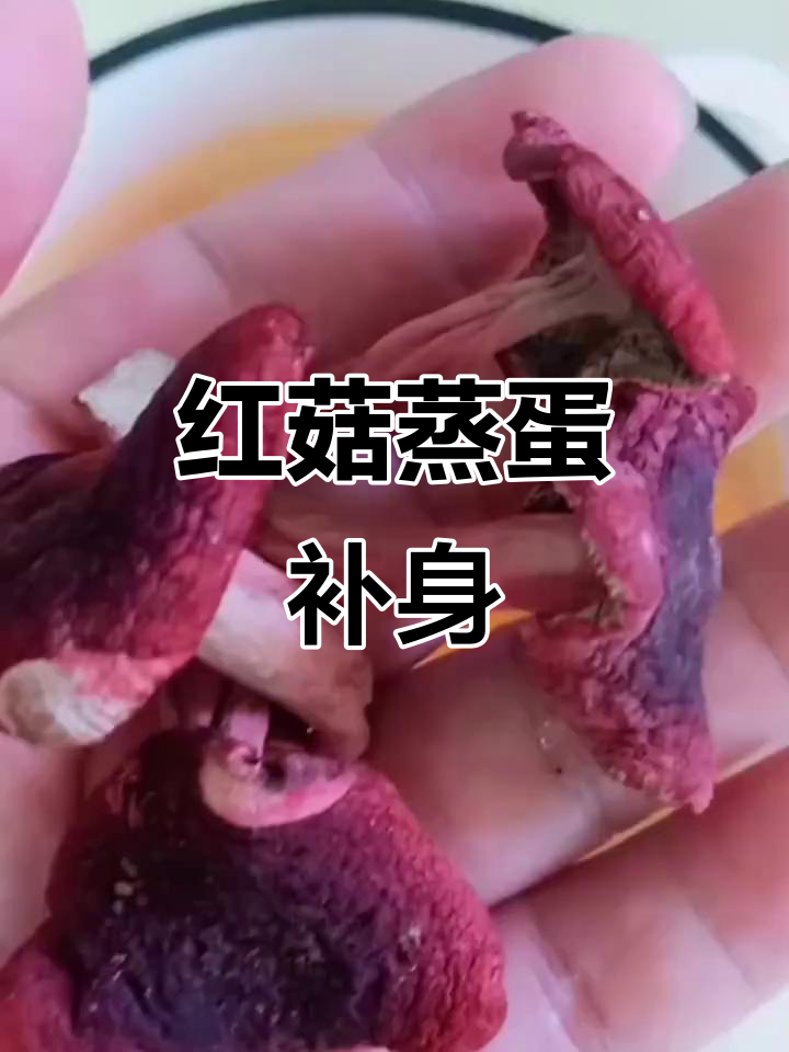 农村野生红菇蒸蛋,滋补又美味