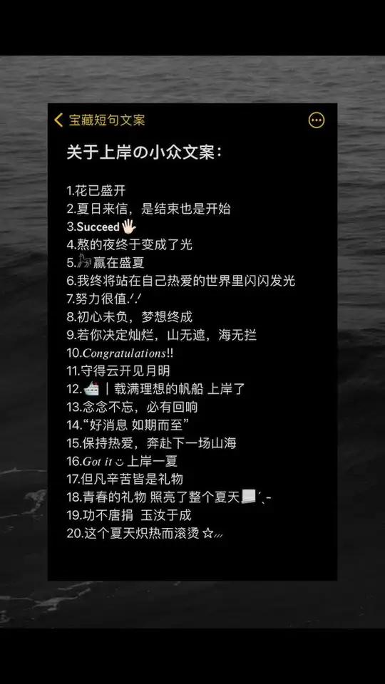 关于上岸の小众文案 今日文案 文案 朋友圈文案 文案收集 上岸 文案馆 适合发朋友圈的句子