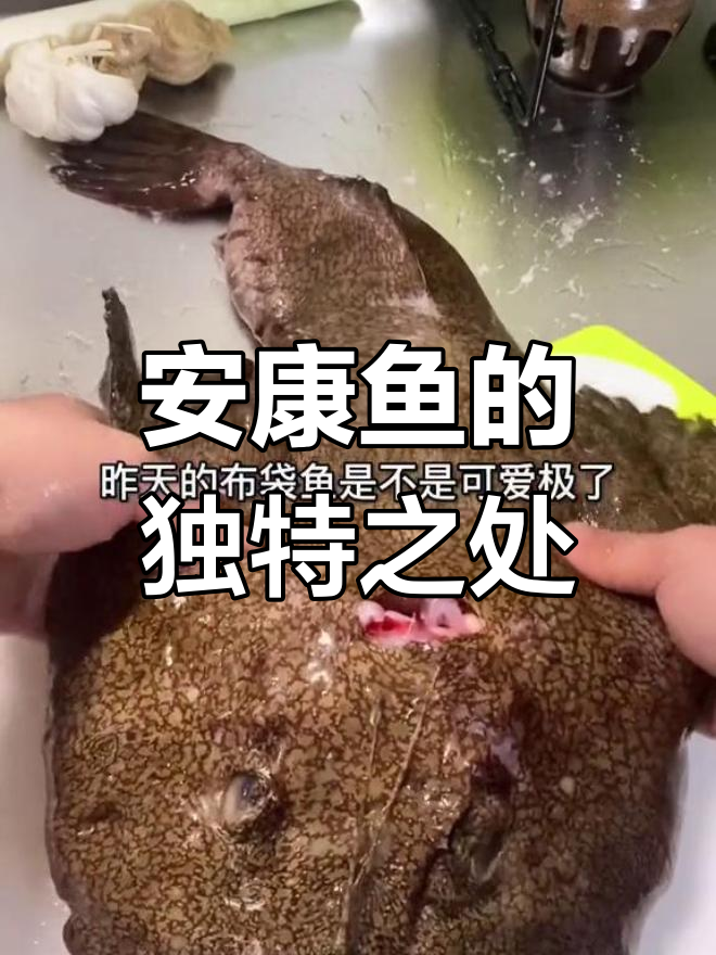 安康鱼:头灯与大嘴的奇妙组合