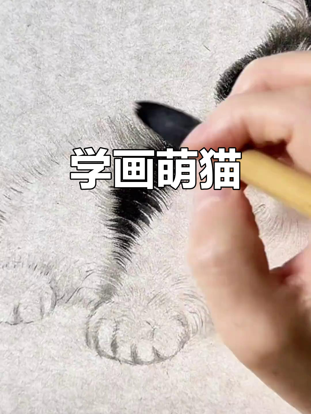 零基础学国画,轻松画出可爱小猫