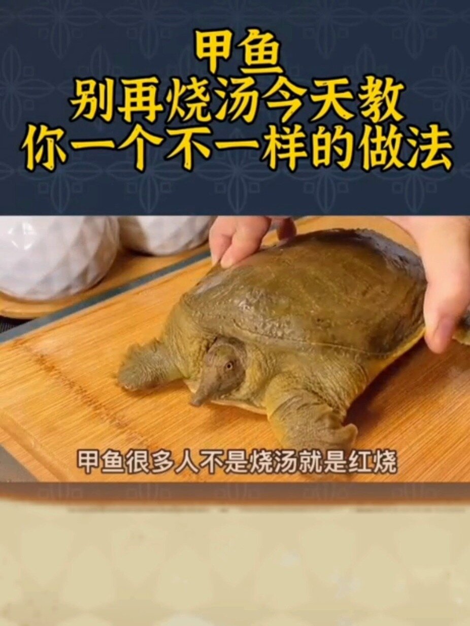 黄焖甲鱼做法