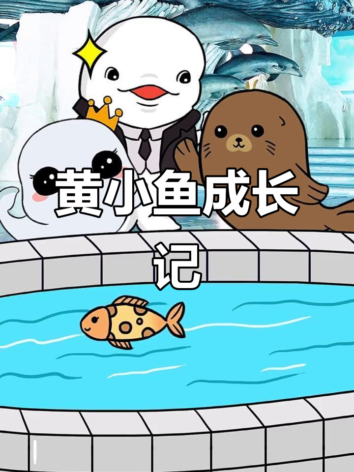 小黄鱼长大了,名字也定了!