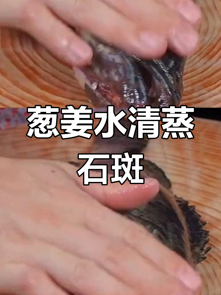 清蒸石斑鱼新做法,嫩滑不腥