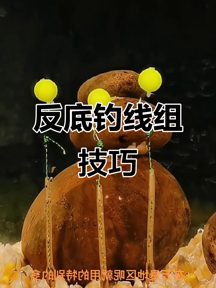 反底钓线组技巧揭秘,珠珠钓鱼法让你告别脱钩