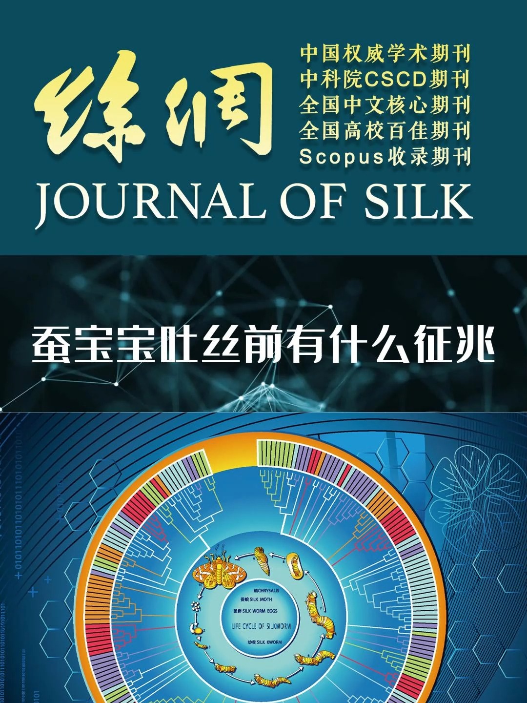 蚕宝宝吐丝前有什么征兆