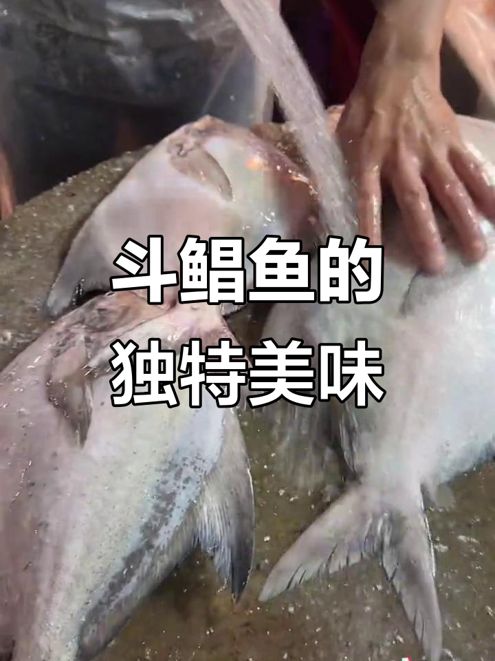本港斗鲳鱼,肉质鲜嫩无比,吃上一口停不下来