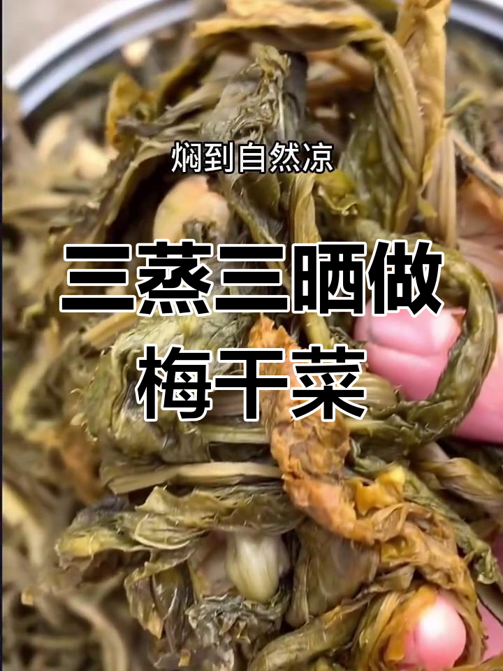 梅干菜制作秘籍:传统三蒸三晒工艺,轻松做出香脆美味