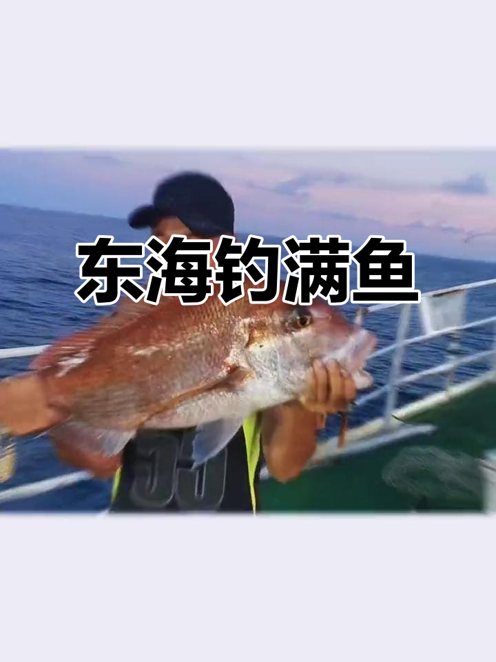 东海钓鱼之旅,鱼获满满!你能猜出这些鱼的品种吗?