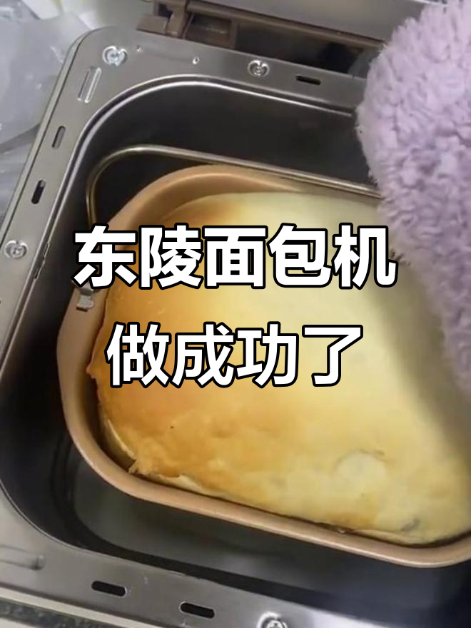 东陵面包机成功做出美味,配方分享给大家