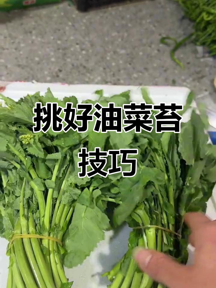 如何挑选新鲜油菜苔？教你选嫩不老的秘诀