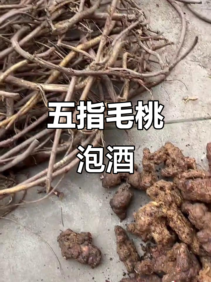 牛大力、土茯苓与五指毛桃泡酒,完美搭配!