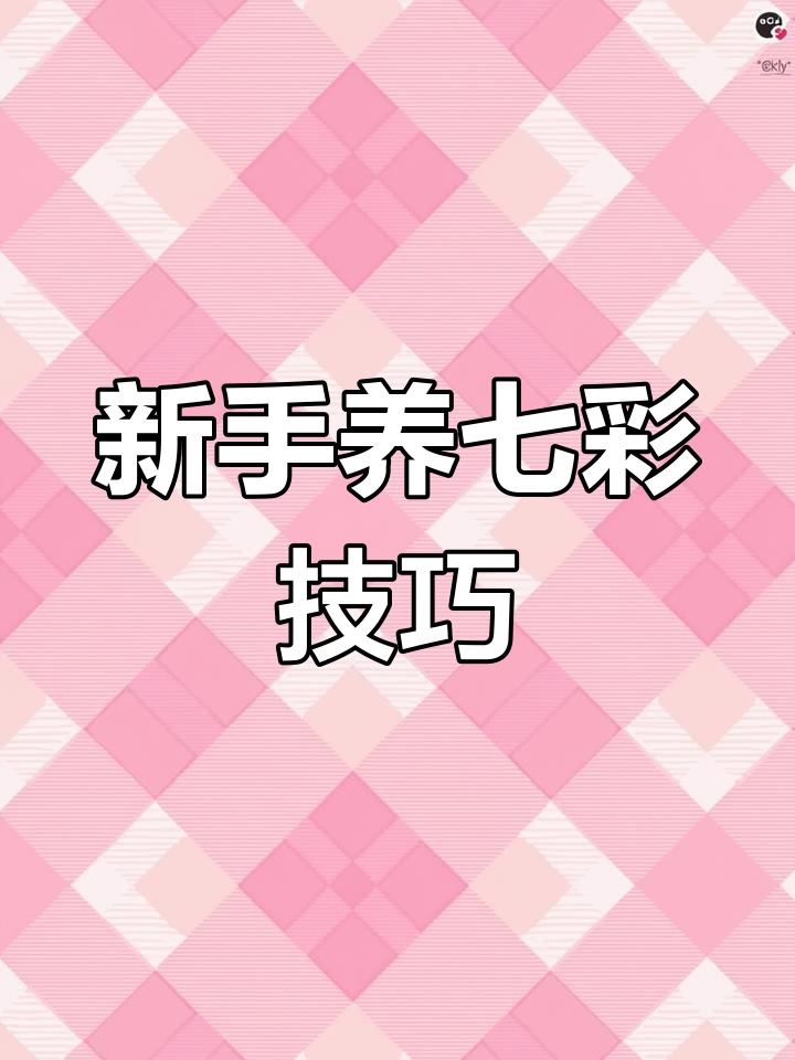 七彩神仙鱼饲养全攻略,新手如何入门