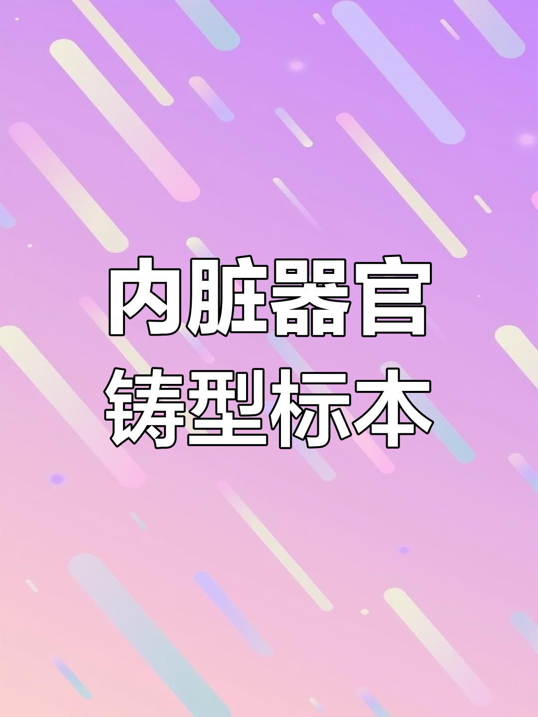 人体内脏全解剖:心脏、肺、肝、胃与血管一览