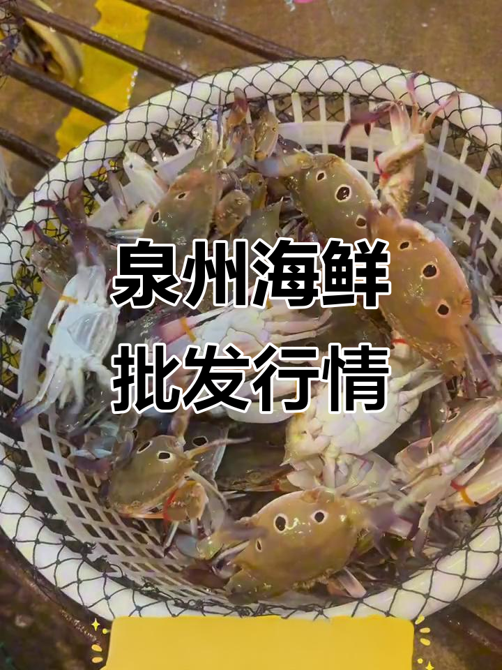 12月2日泉州海鲜市场行情,九节虾等热门海味价格波动