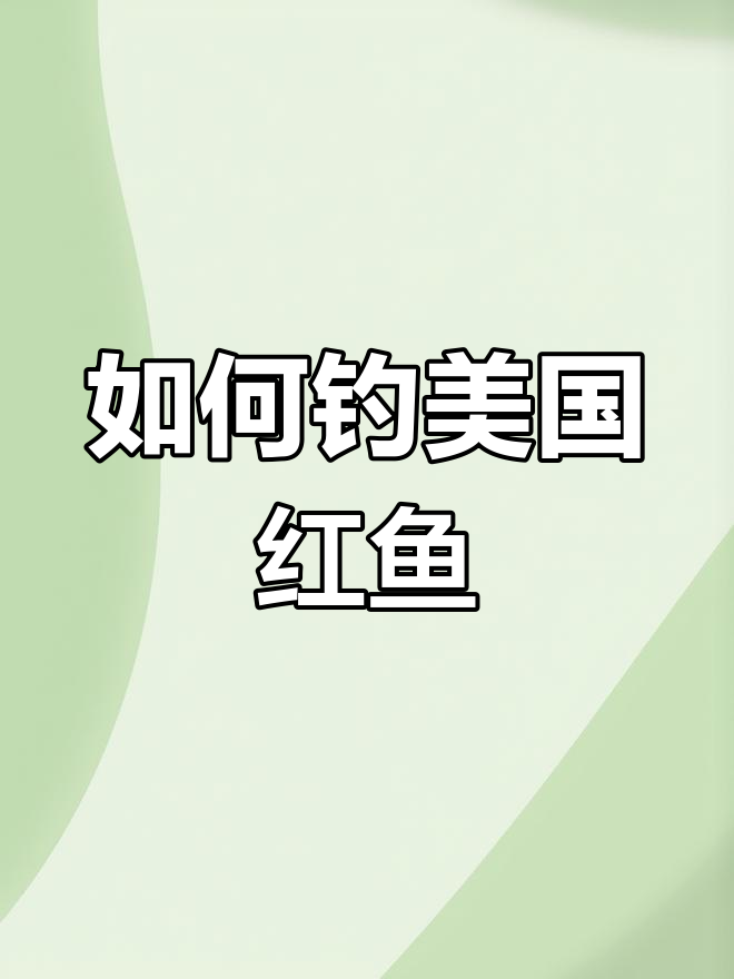 美国红鱼钓法揭秘,掌握这些技巧轻松上手
