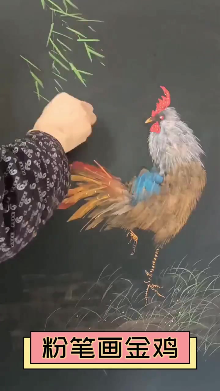 粉笔画金鸡
