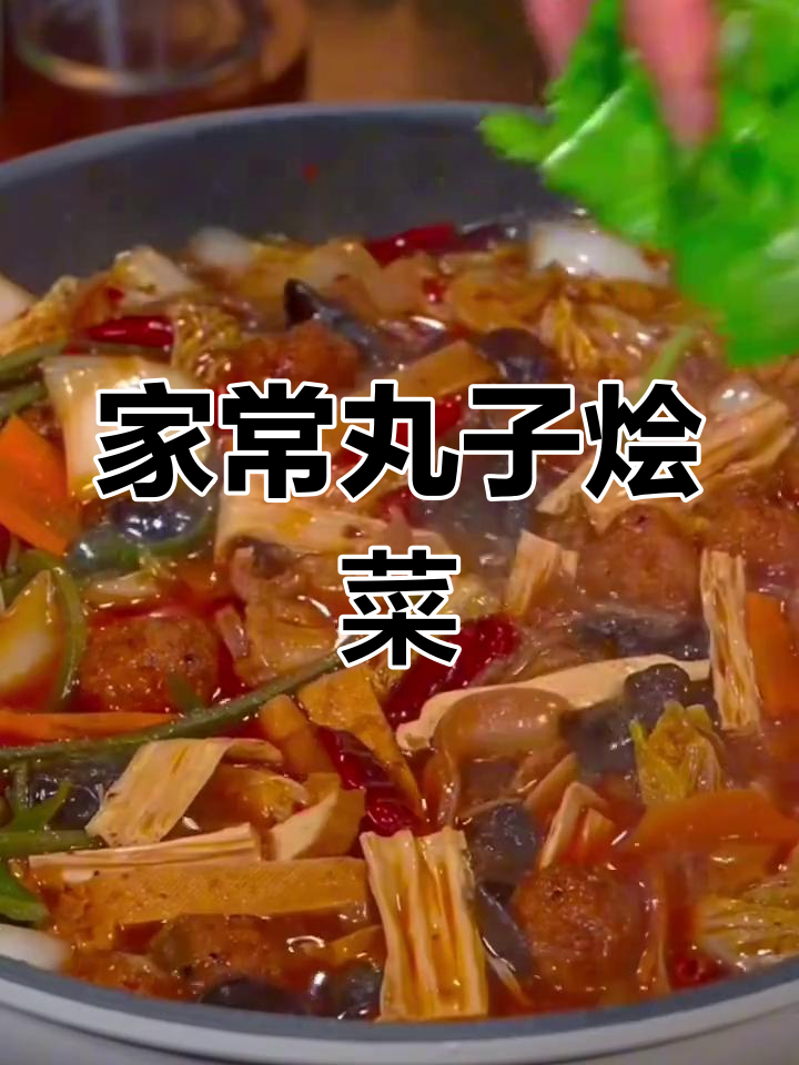 丸子烩菜家常做法,配米饭最香