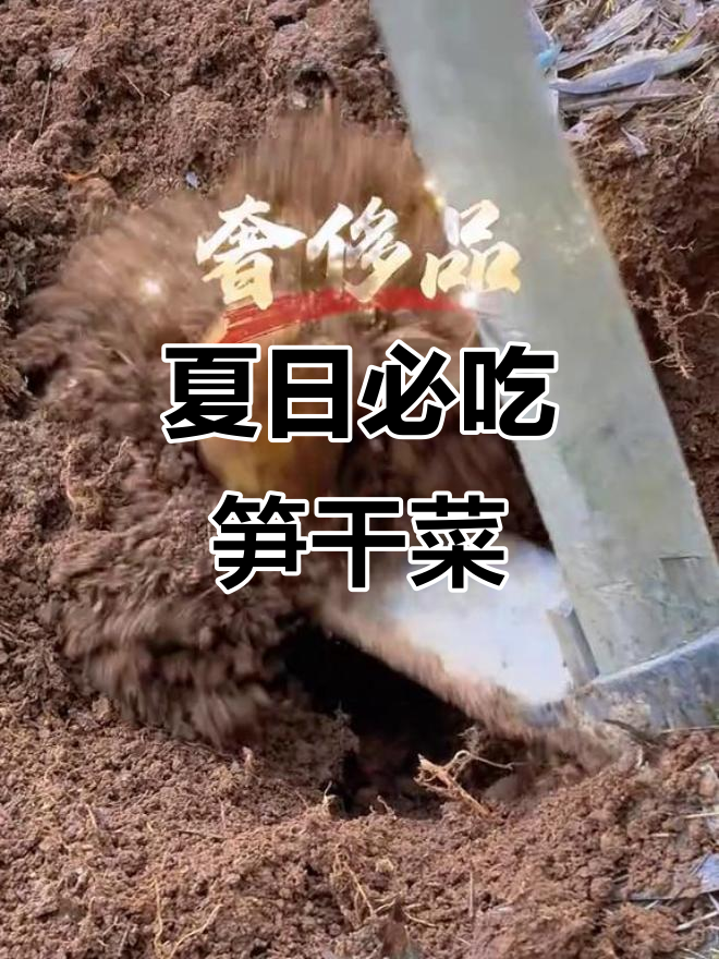 绍兴夏季必备笋干菜汤,梅雨季节的传统美味