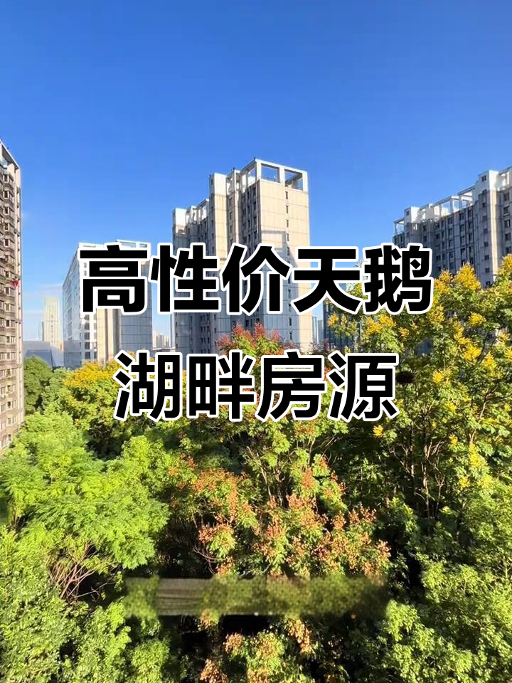 天鹅湖畔高性价比房源，155平米三房两卫，景观超赞
