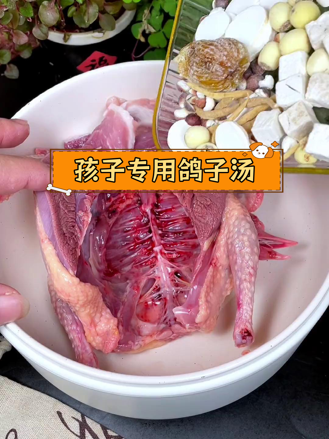适合孩子喝的鸽子汤做法