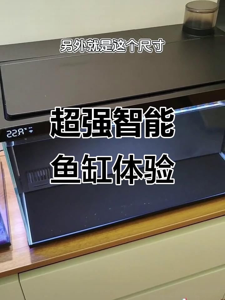 智能鱼缸大揭秘!这款超大尺寸设计,功能超强大