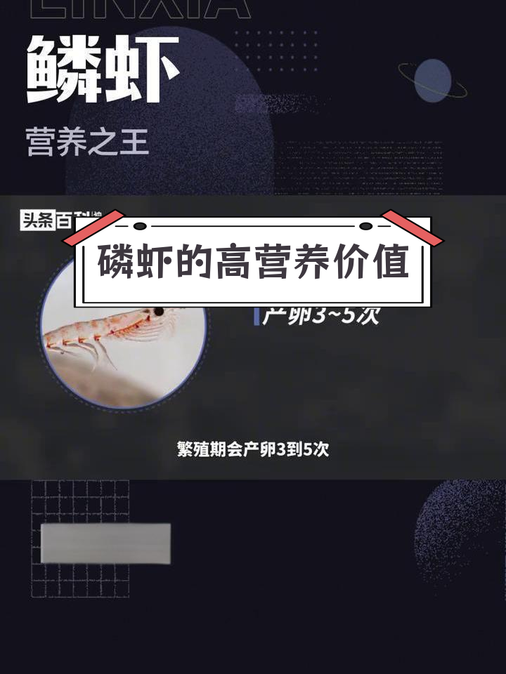磷虾:海洋中的营养宝藏
