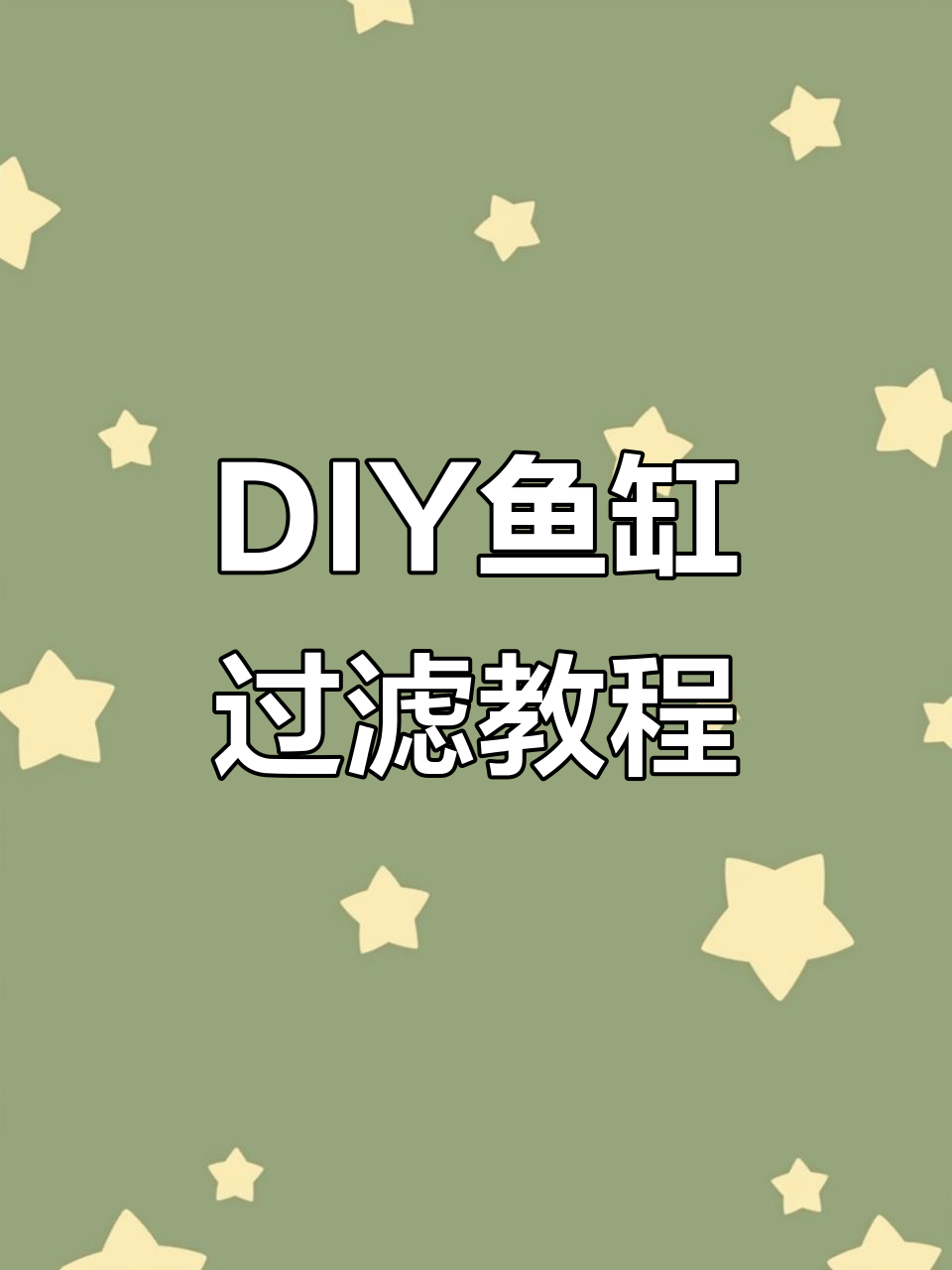 鱼缸过滤DIY:从垃圾桶到高效过滤器改造教程