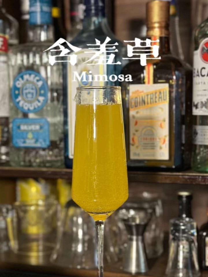 含羞草(Mimosa)10s学会英国皇室偏爱的日间鸡尾酒