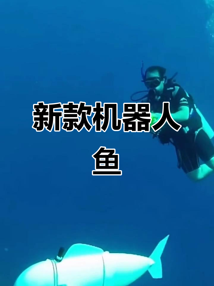 机器鱼来袭,水里又添新玩具!