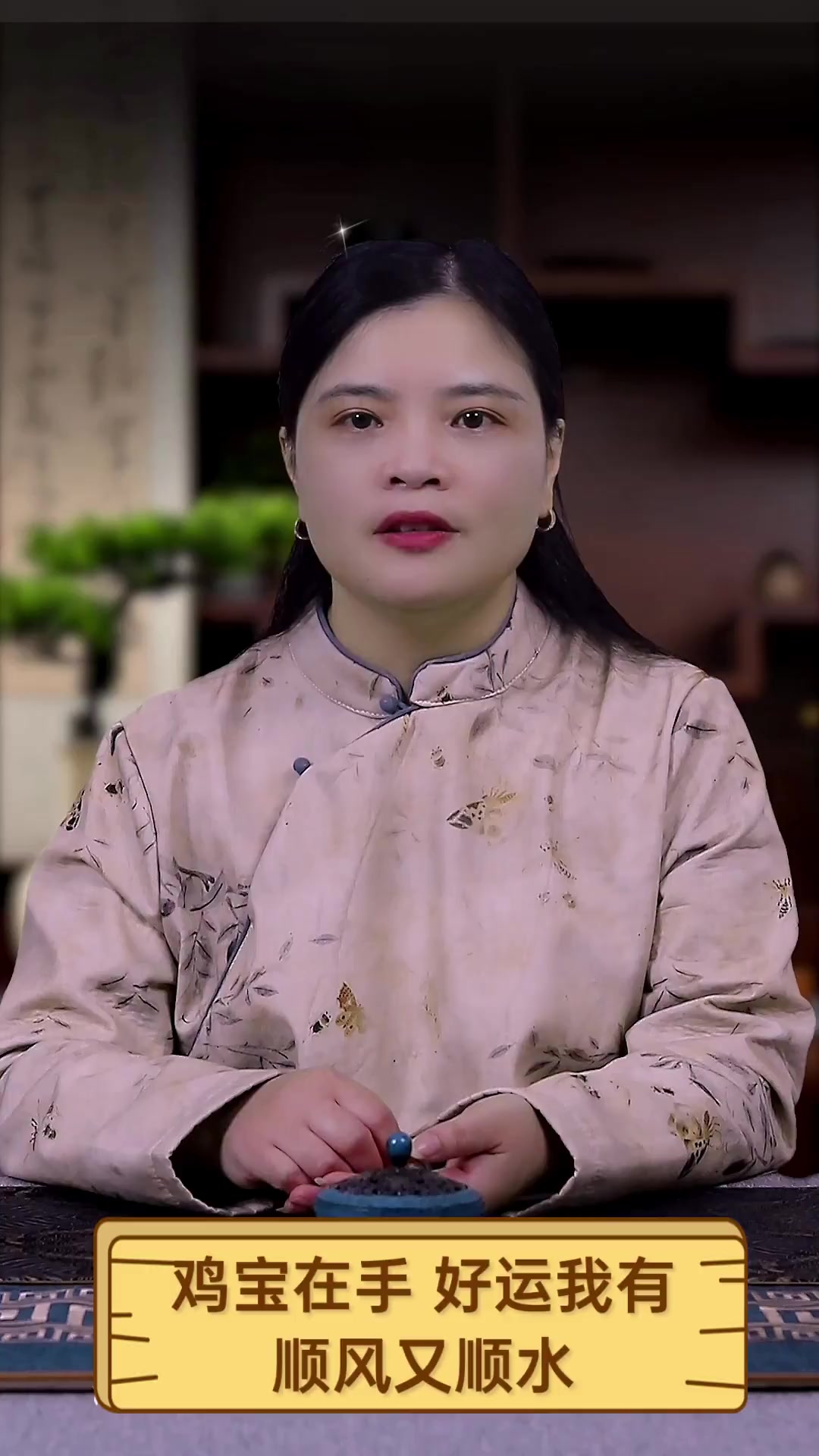 鸡宝在手,好运我有,顺风又顺水