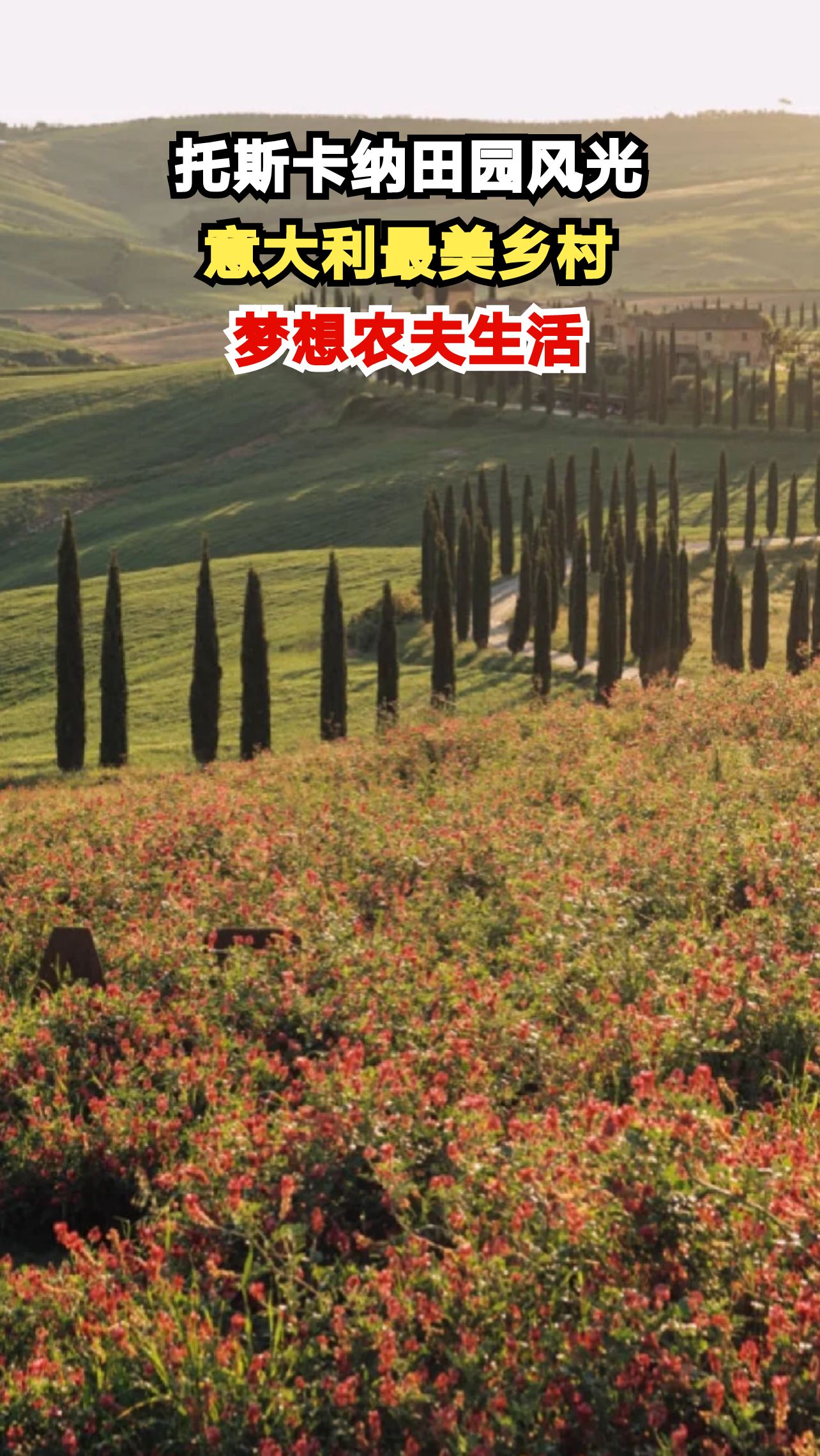 托斯卡纳的田园生活有多惬意?美国白领都想辞职去种葡萄