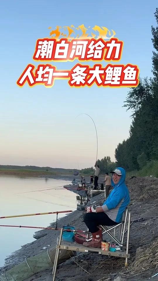 潮白河给力人均一条大鲤鱼