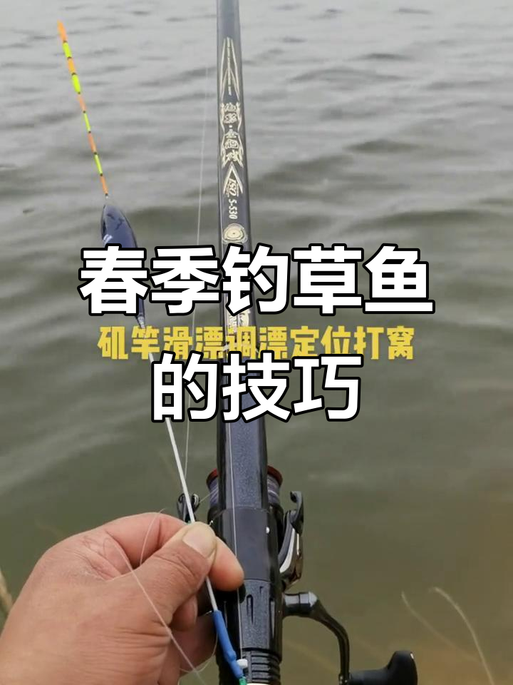 春天钓草鱼的最佳时机,选对位置轻松上钩