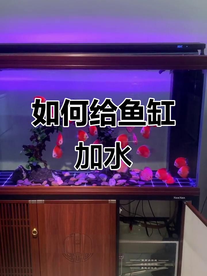 鱼缸补水技巧,避免水泵烧坏和加热棒爆炸