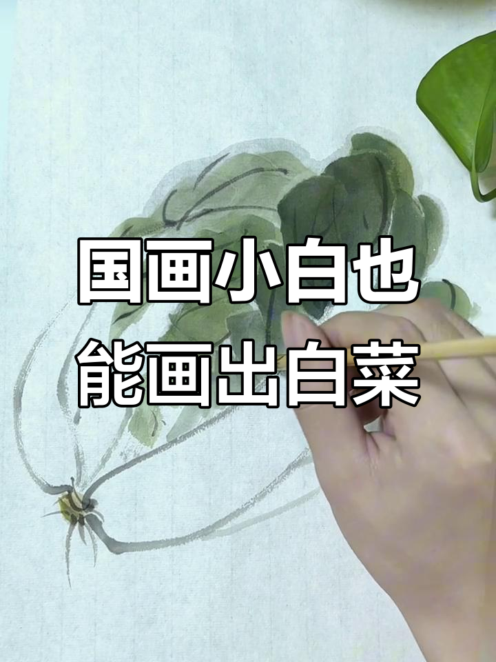 零基础学国画：从歪线到白菜叶，轻松掌握技巧
