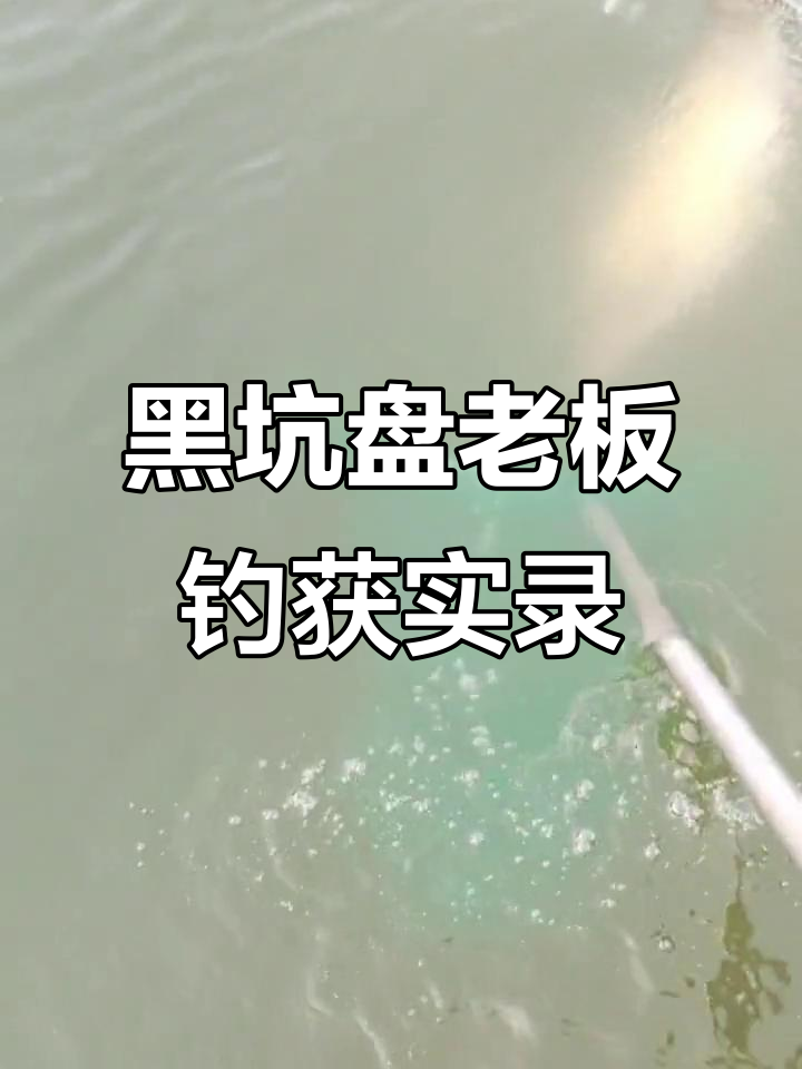 钓鱼人必备:黑坑盘老板的真实户外挑战
