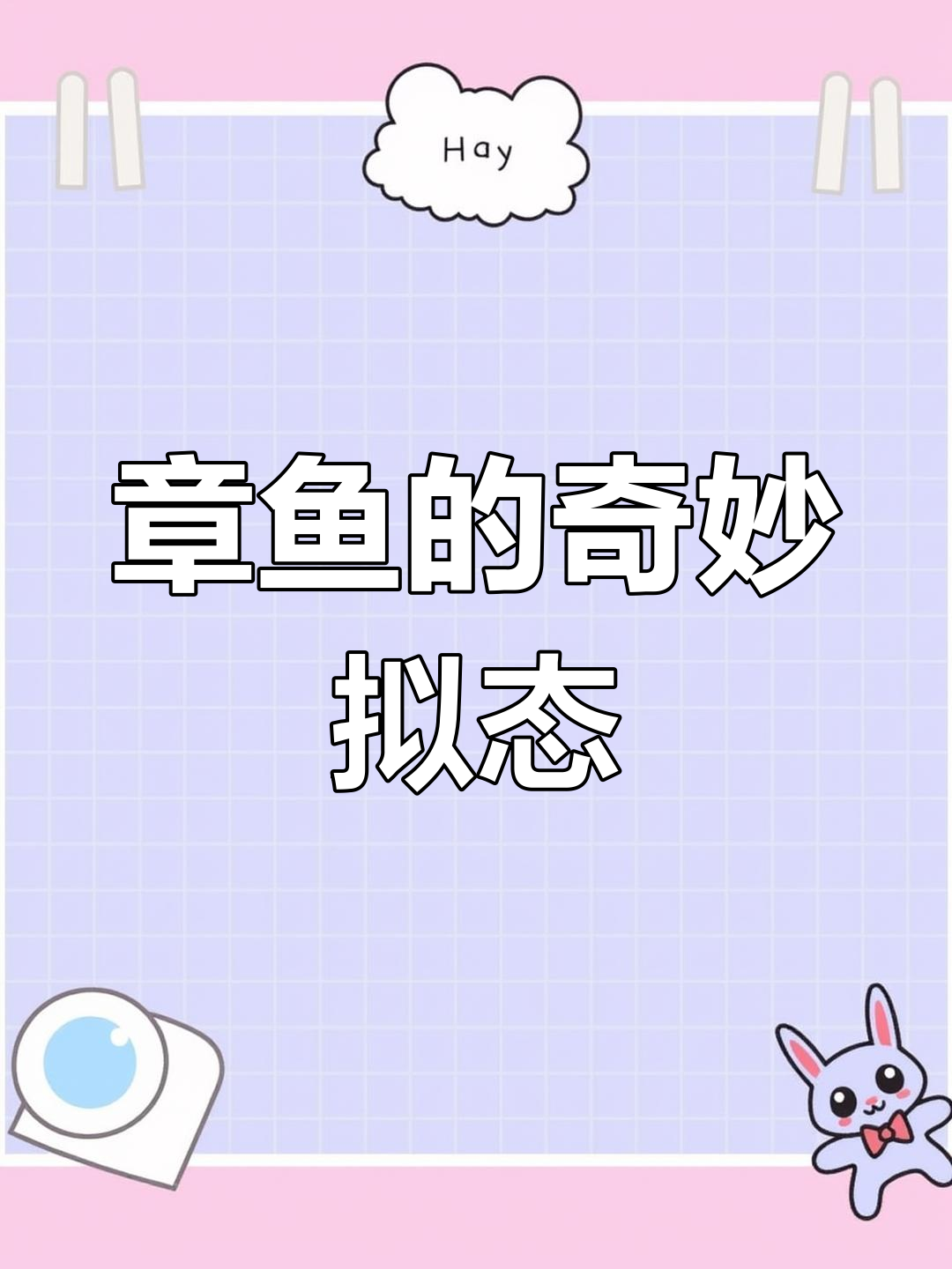 拟态章鱼变身鳐鱼,展现神奇伪装能力