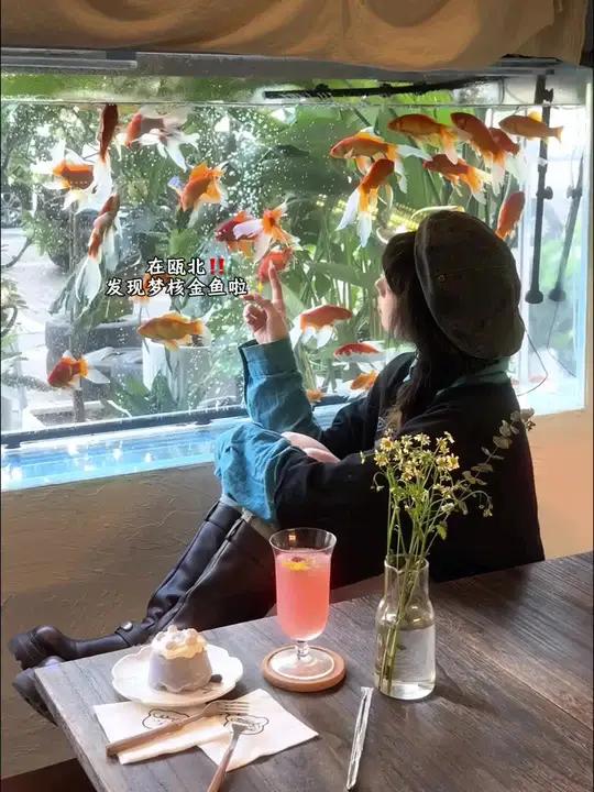 在瓯北梦核金鱼之窗好唯美啊啊啊!下午茶 梦核金鱼 拍照打卡 温州探店